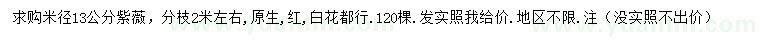 求購米徑13公分紫薇