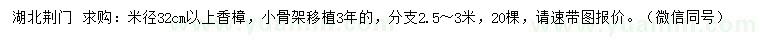 求購(gòu)米徑32公分以上香樟