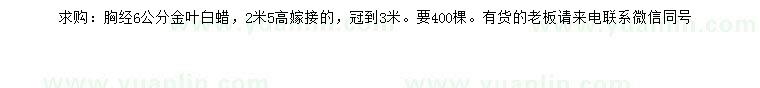 求購胸徑6公分金葉白蠟