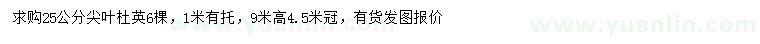 求購25公分尖葉杜英