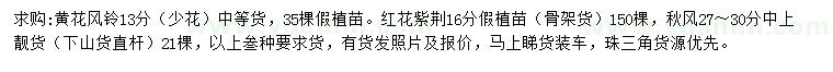 求購(gòu)黃花風(fēng)鈴、紅花紫荊、秋楓