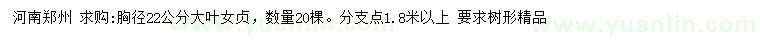 求購胸徑22公分大葉女貞