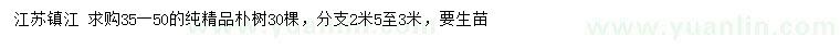 求購35-50公分純精品樸樹