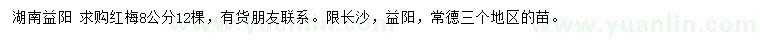 求購8公分紅梅