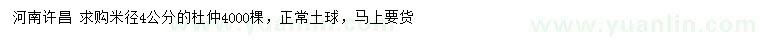 求購米徑4公分杜仲