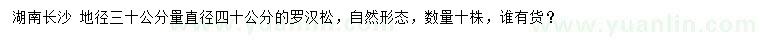 求購地徑30公分量直徑40公分羅漢松