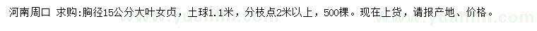 求購胸徑15公分大葉女貞