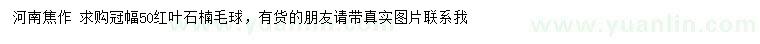 求購(gòu)冠幅50公分紅葉石楠毛球