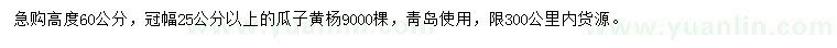 求購(gòu)高度60公分瓜子黃楊