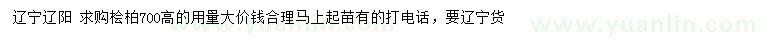 求購高700公分檜柏