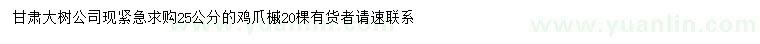 求購25公分雞爪槭