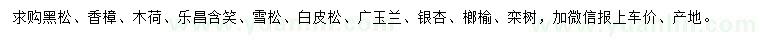 求購黑松、香樟、木荷等