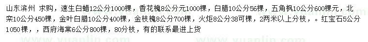 求購速生白蠟、香花槐、白臘等