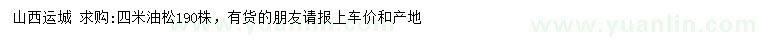 求購4米油松