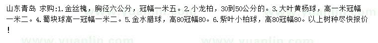 求購(gòu)金絲槐、小龍柏、大葉黃楊球等