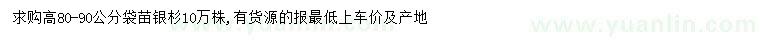 求購高80-90公分銀杉