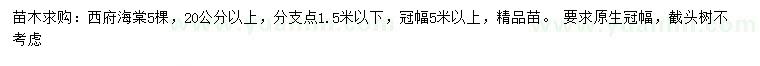 求購(gòu)20公分以上西府海棠
