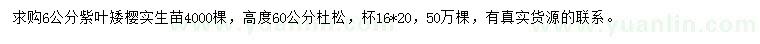 求購6公分紫葉矮櫻、高度60公分杜松