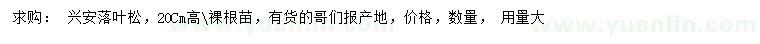 求購(gòu)高20公分落葉松