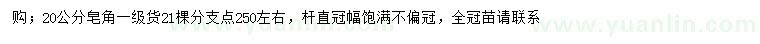 求購20公分皂角