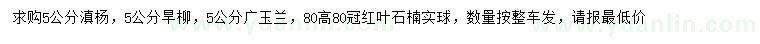 求購滇楊、旱柳、廣玉蘭等