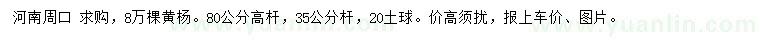 求購(gòu)高桿80公分黃楊
