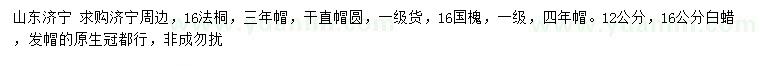 求購法桐、國槐、白蠟