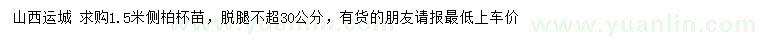 求購1.5米側(cè)柏