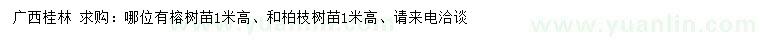 求購高1米榕樹苗、柏枝樹苗