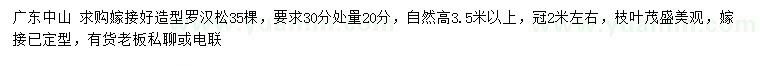 求購30公分處量20公分造型羅漢松