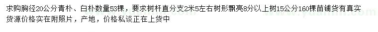 求購胸徑15、20公分青樸、白樸