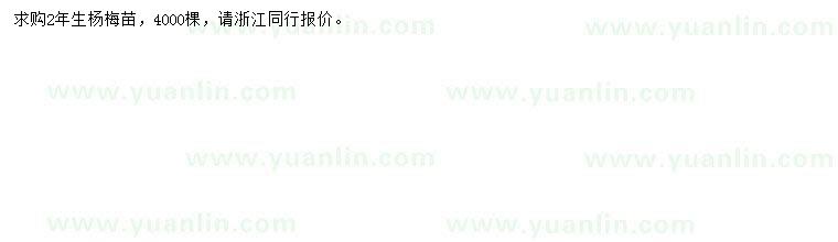 求購2年生楊梅苗