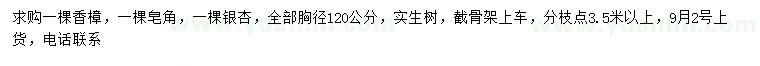 求購香樟、皂角、銀杏