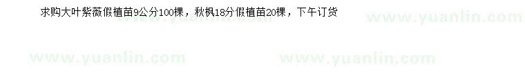 求購(gòu)9公分大葉紫薇、18公分秋楓假植苗