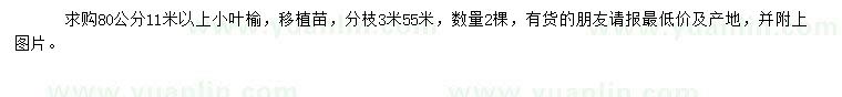 求購80公分小葉榆