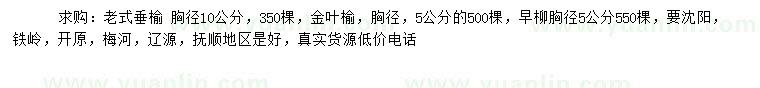 求購老式垂榆、金葉榆、早旱柳