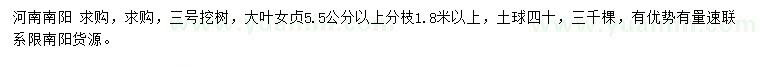 求購5.5公分以上大葉女貞