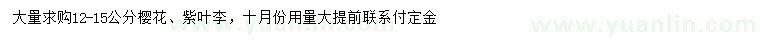 求購12-15公分櫻花、紫葉李