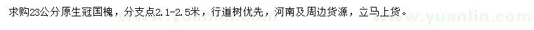 求購(gòu)23公分國(guó)槐