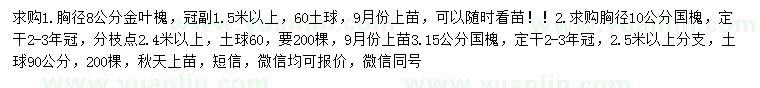 求購胸徑8公分金葉槐、10、15公分國槐