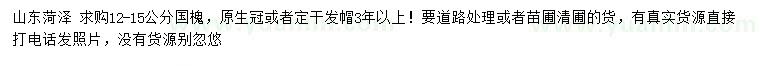 求購12-15公分國槐