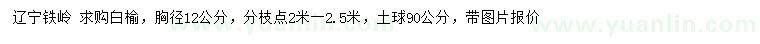 求購胸徑12公分白榆