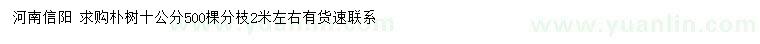求購(gòu)10公分樸樹(shù)