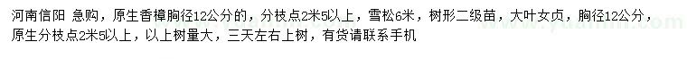 求購香樟、雪松、大葉女貞
