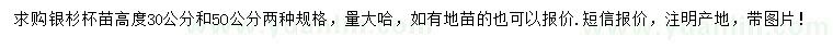 求購(gòu)高度30、50公分銀杉