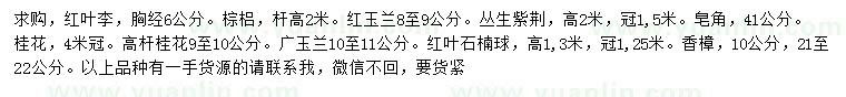 求購紅葉李、紅玉蘭、叢生紫荊等