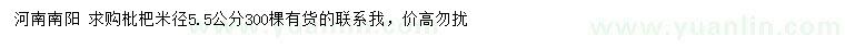 求購米徑5.5公分枇杷