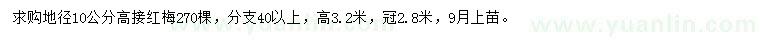 求購地徑10公分高接紅梅