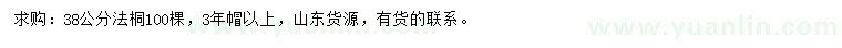 求購38公分法桐