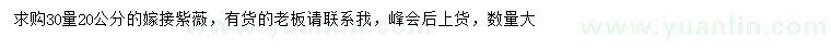 求購30量20公分嫁接紫薇